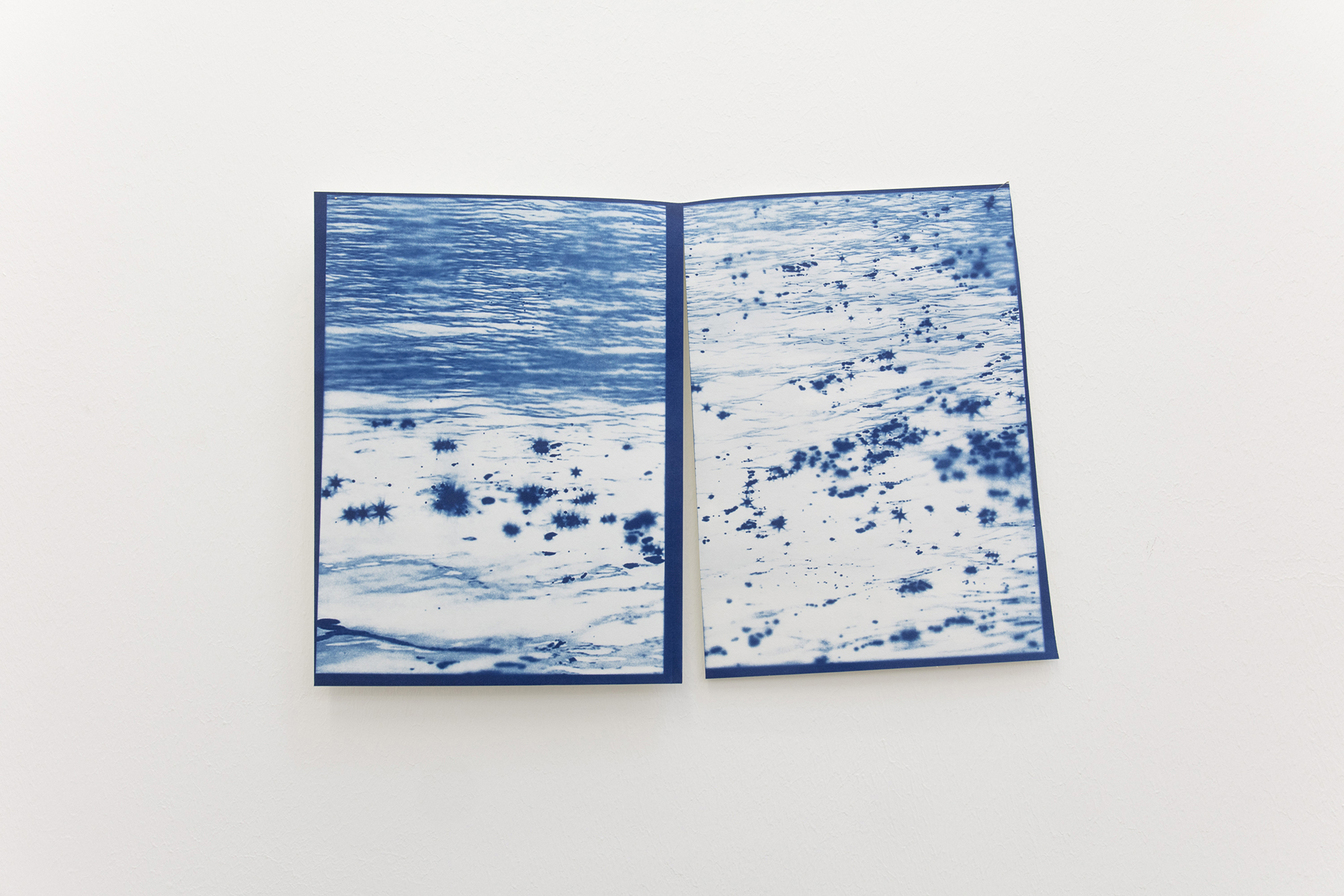 04_AlteaGrau_Circumpolar Constellation_Cyanotype_45x30cm_2021_PhotoBirgitte Munk